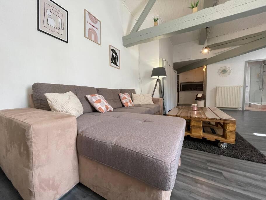 L'Appartement Marceau - 55M2 - Carcassonne Centre Buitenkant foto